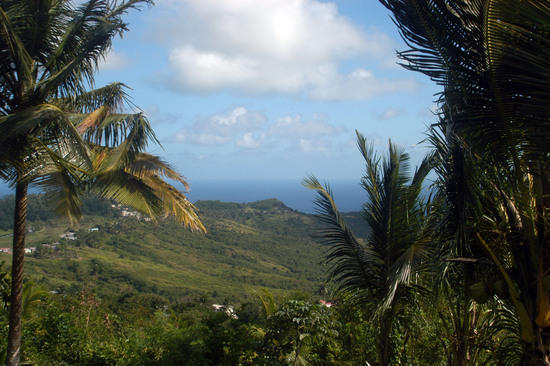   8P5A CQ WW DX SSB Contest 2009 DX 